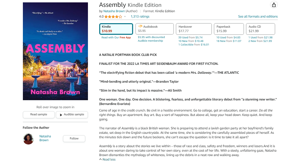 catchy book description